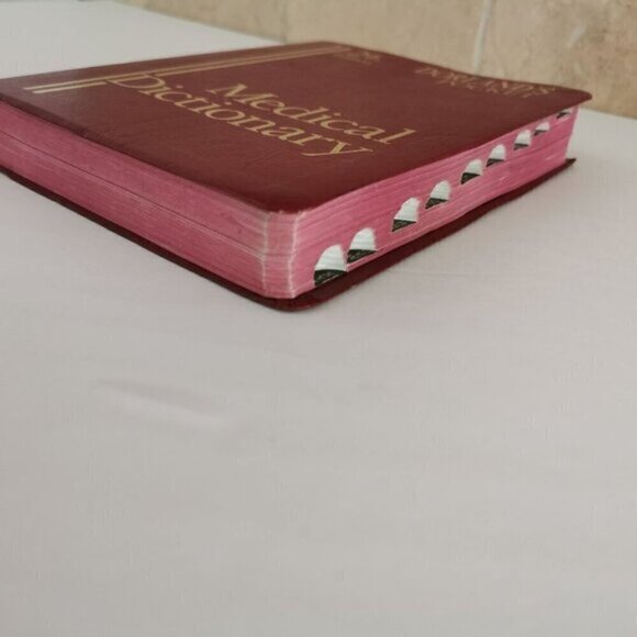 1982 Dorland's Pocket Medical Dictionary 24th Ed Vintage Doctor Reference - Picture 5 of 10